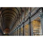 Internship Guesthouse Assistant Ireland